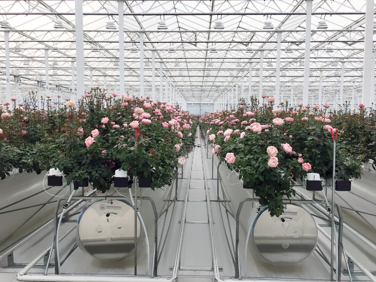 Тепличные инновации