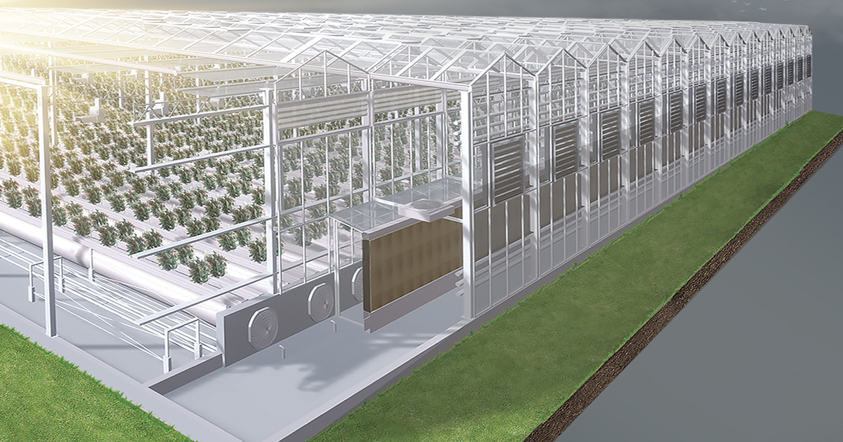 Компания «АГРИСОВГАЗ» - крупнейший отечественный производитель и интегратор всех систем тепличного комплекса