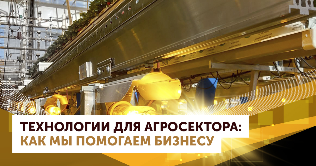 Технологии для агросектора: как мы помогаем бизнесу