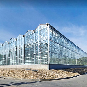 АО «Весна» (Тепличный комбинат агрокомплекса «Весна»)