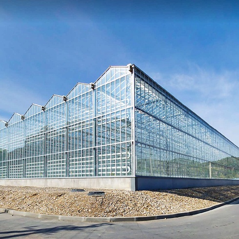 АО «Весна» (Тепличный комбинат агрокомплекса «Весна»)