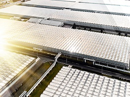 Тепличные комплексы